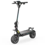 Dualtron Thunder 2 NEW EDITION