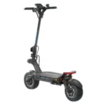 Dualtron Thunder 2 NEW Rear 300x300