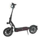 Dualtron City EY4 Profile
